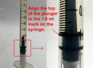 Align the plunger