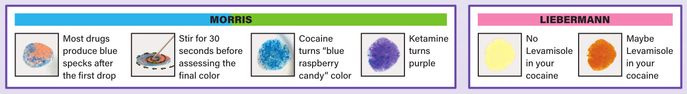 cocaine-ketamine-test-kit-examples Cocaine Ketamine Test Kit Examples