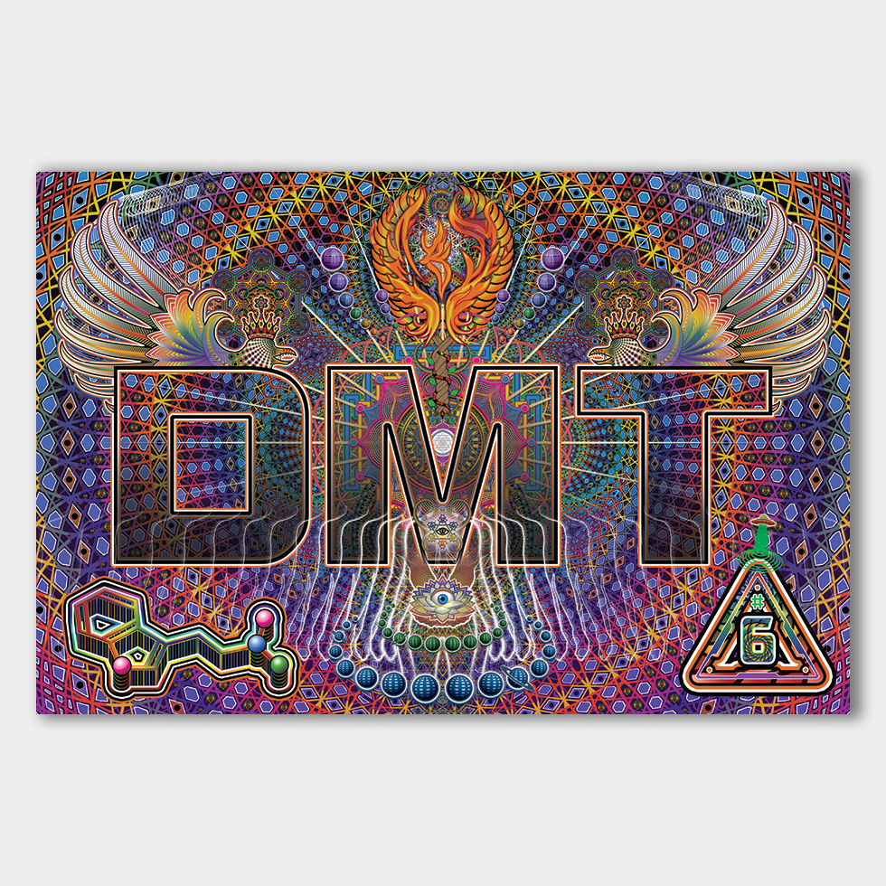 DMT info cards