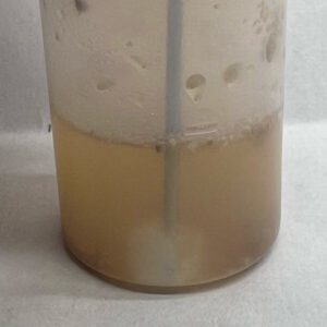 The cotton ball should be on the bottom and side of the vial