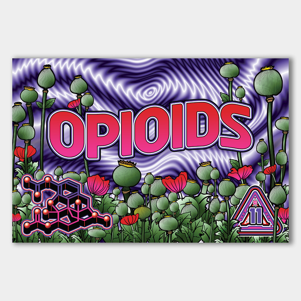 Opioids info cards